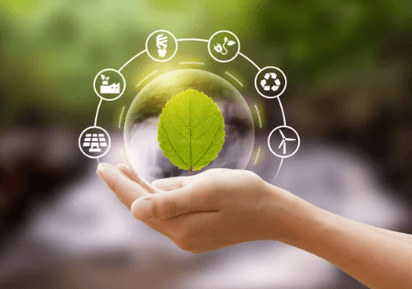 How Technology Supports Sustainable Business Practices